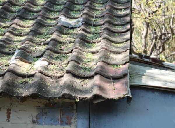 Fuite de toiture (urgence)