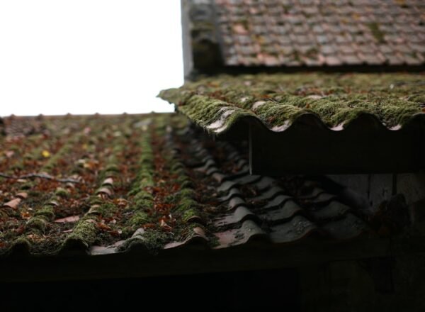 Nettoyage & démoussage