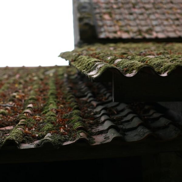 Démoussage et hydrofuge sur toiture en tuiles à Lasne